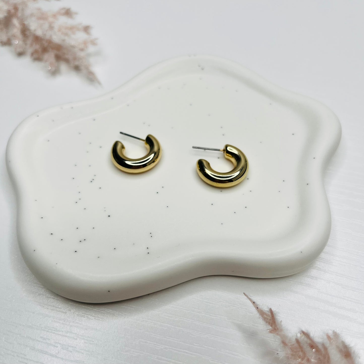 Hoop Earrings (variety)