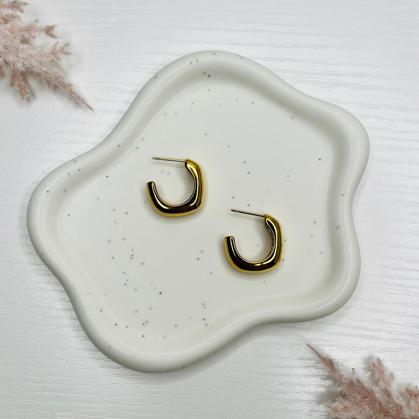 Hoop Earrings (variety)