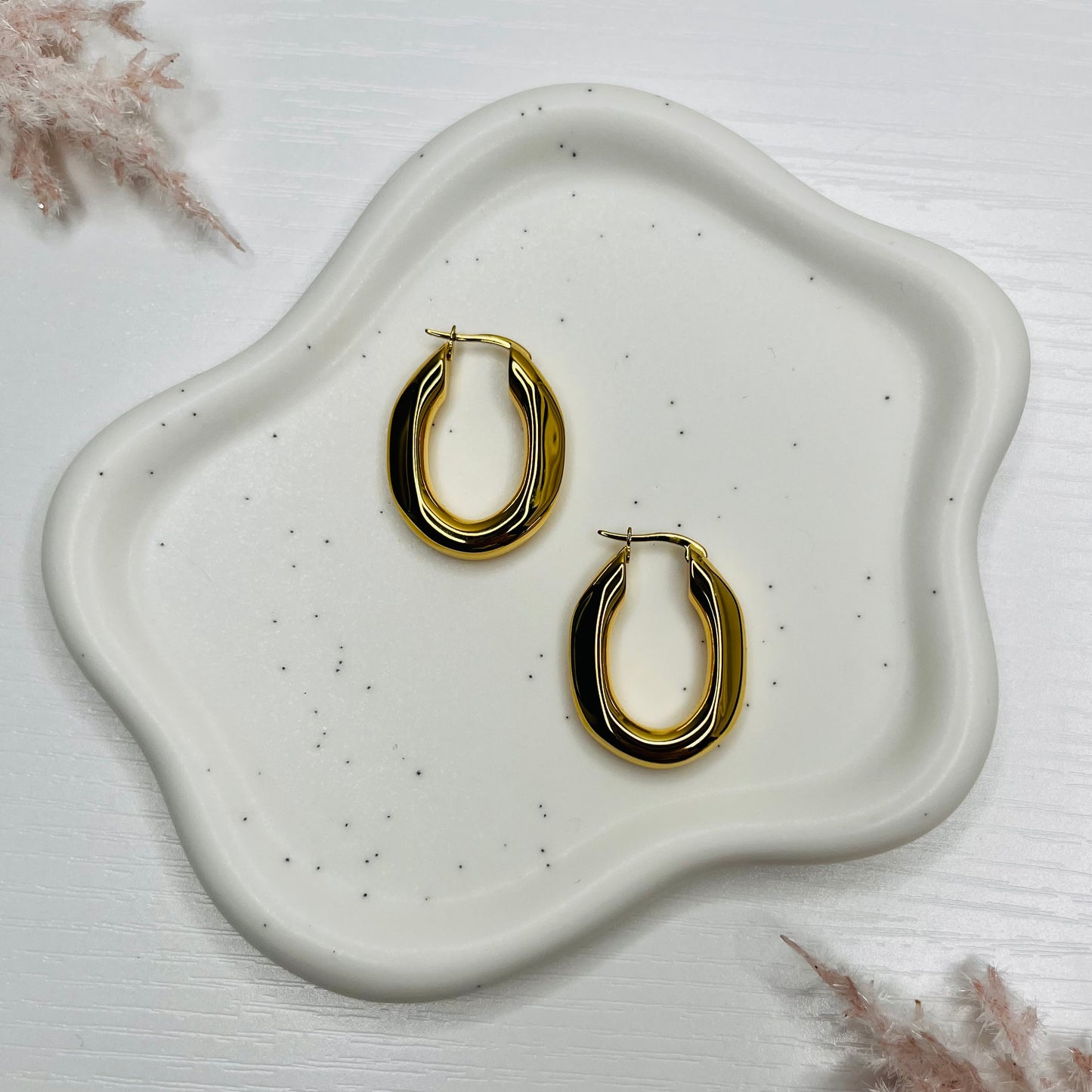 Hoop Earrings (variety)