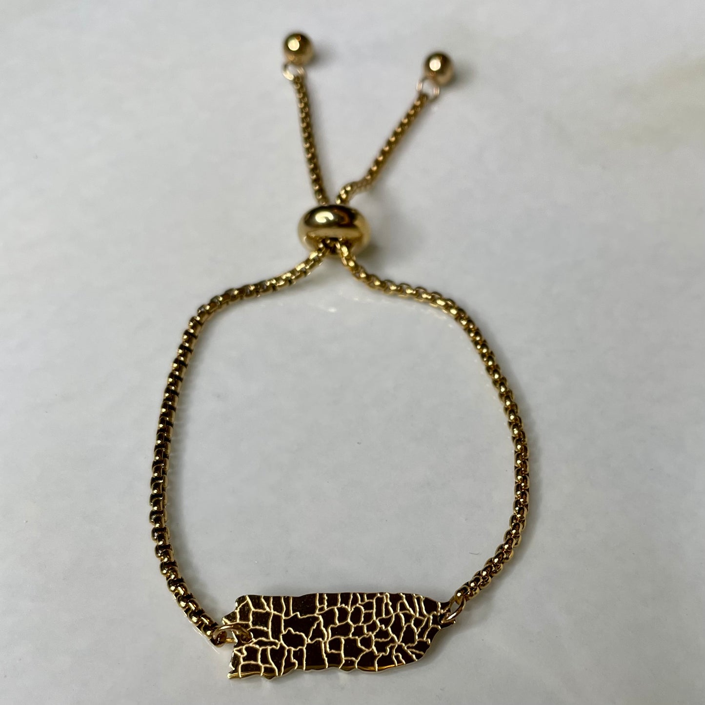 PR Stainless Steel Bracelet