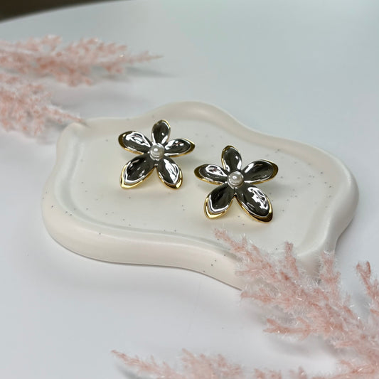 Silver & Gold Earrings